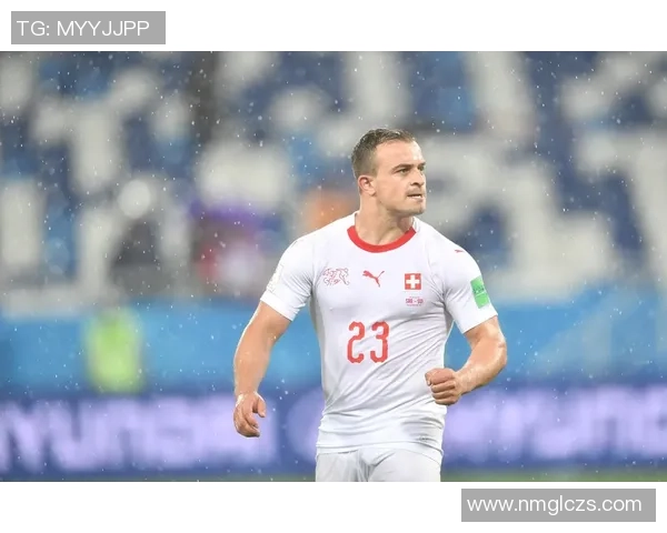 塞尔维亚足球明星盘点他们在国际赛场上的辉煌成就与影响力